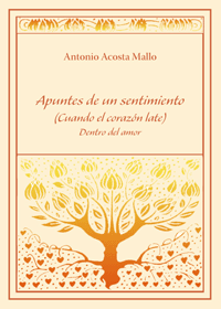 Apuntes de un sentimiento